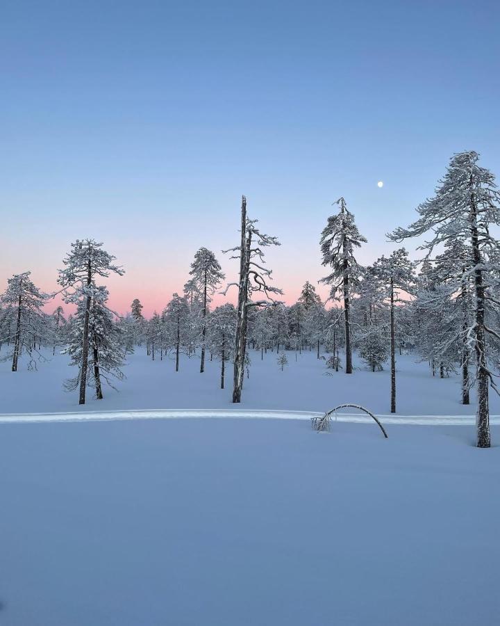Sofia Rovaniemi City Apartment Экстерьер фото